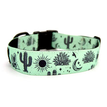 Load image into Gallery viewer, Agave Trail Hound Dog Collar
