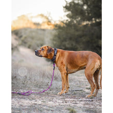Load image into Gallery viewer, Camo Trail Hound Collar
