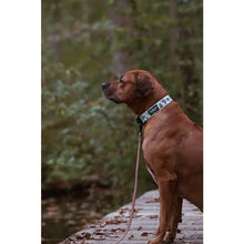 Load image into Gallery viewer, Agave Trail Hound Dog Collar

